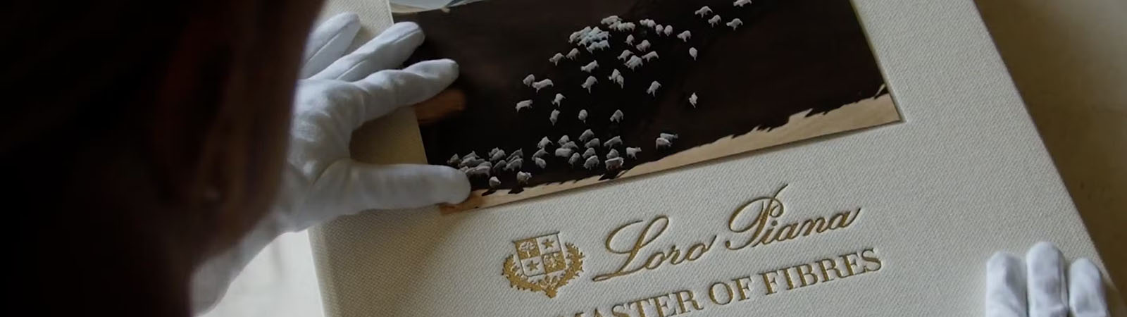 Книга &laquo;Master of Fibres&raquo;