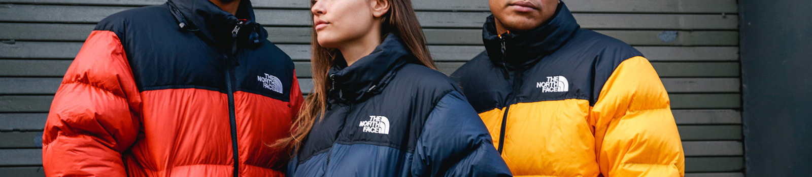 Одежда, обувь, аксессуары The North Face