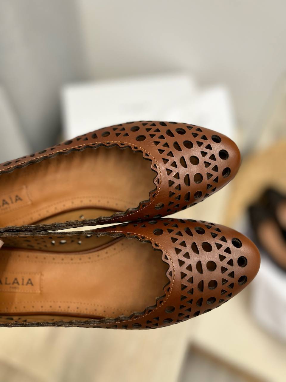 Коллекционные балетки Alaia BP-52836 Коллекционные балетки Alaia BP-52836