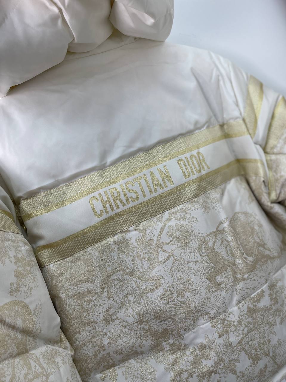 Трендовый пуховик Christian Dior BP-19155 Трендовый пуховик Christian Dior BP-19155