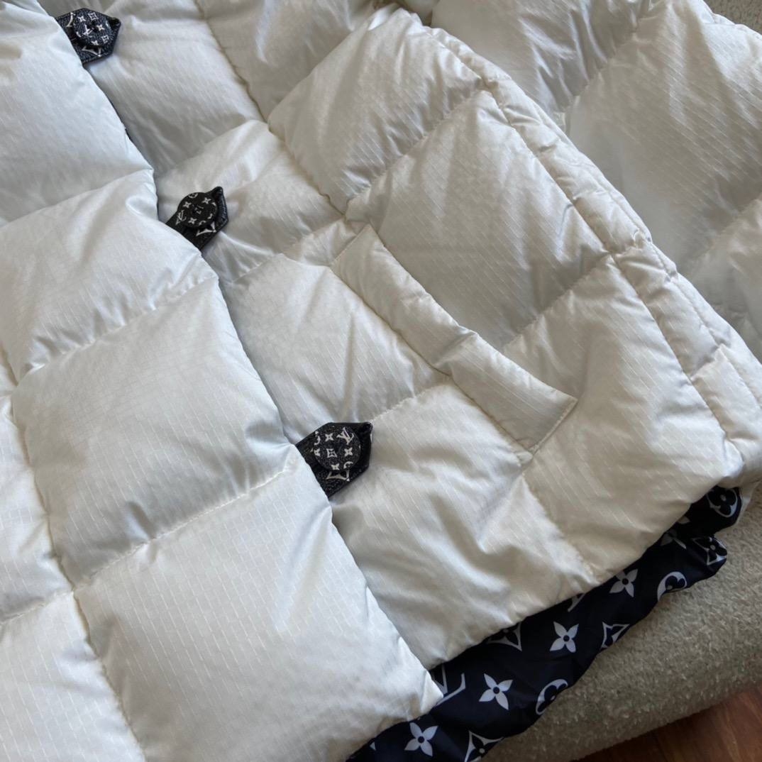 Пуховик Louis Vuitton BP-20956 премиум Пуховик Louis Vuitton BP-20956 премиум