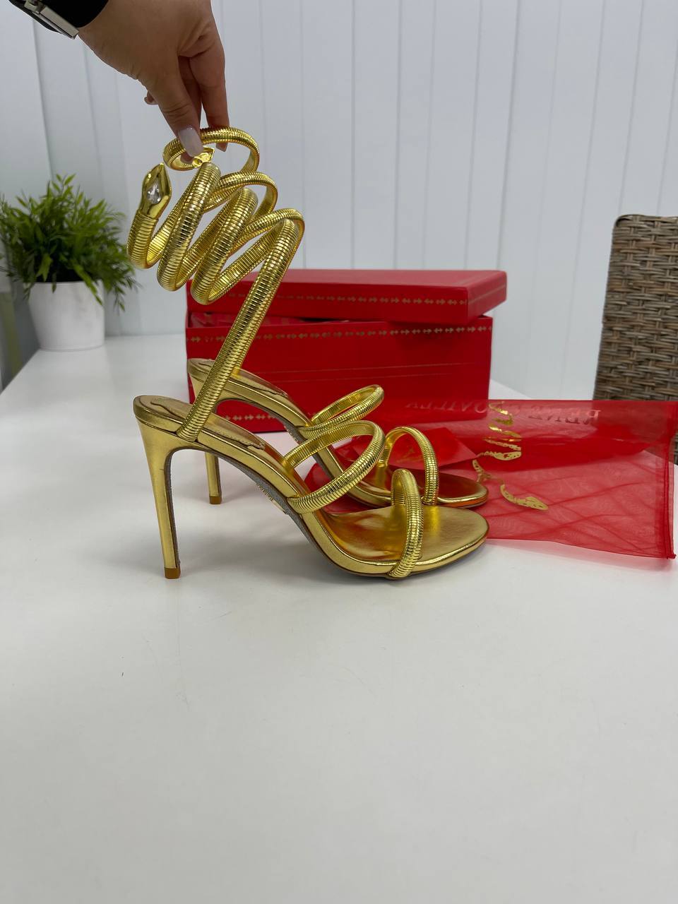 Босоножки премиум Rene Caovilla BP-34119 Босоножки премиум Rene Caovilla BP-34119