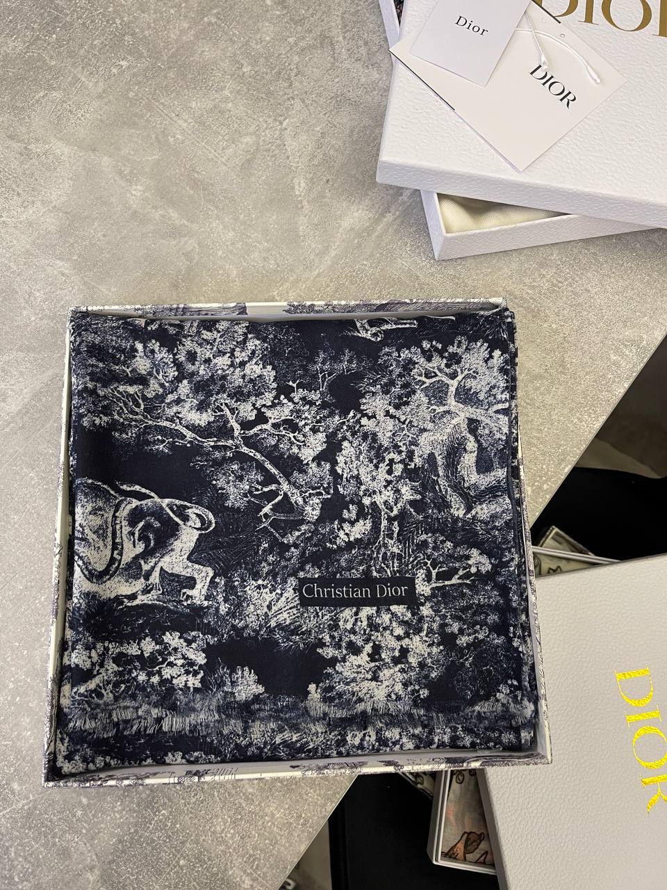 Премиальный палантин Christian Dior BP-53038 Премиальный палантин Christian Dior BP-53038