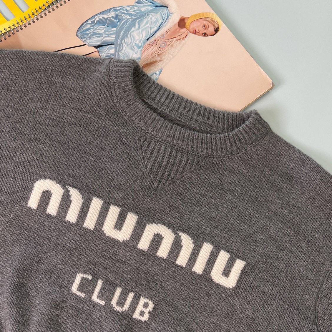 Женский свитер Miu Miu трендовый BP-22849 Женский свитер Miu Miu трендовый BP-22849