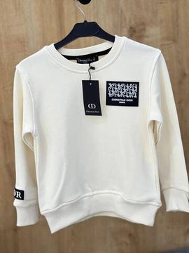 Толстовка Christian Dior BP-23659 премиум