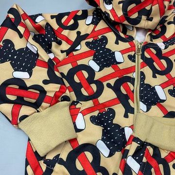 Костюм на флисе стильный Burberry BP-20812