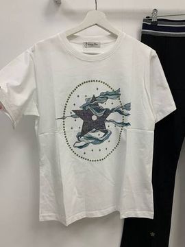 Футболка женская Christian Dior эксклюзивная BP-25447