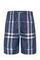 Шорты Burberry классические BP-34974