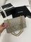 Chanel сумка женская, 25 см, BP-27694