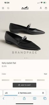 Балетки кожаные Hermes Kelly BPLUX12574