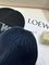 Шапка из шерсти Loewe BPLUX12428
